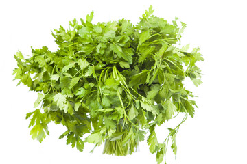 Fresh parsley on white background