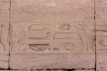 Egyptian hieroglyphs. Hieroglyphic carvings on a wall