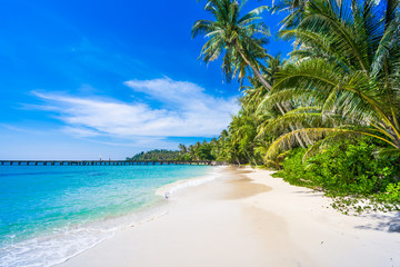 Naklejka na ściany i meble tropical beach. sea and coconut palm. Landscape of paradise tr