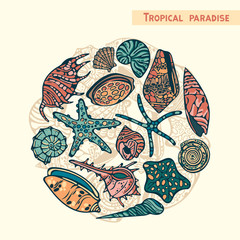 Tropical set of seashells and starfish.