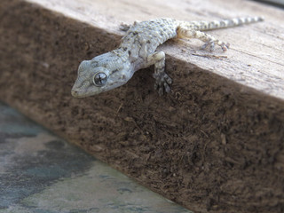 Gente en entretenimiento acuático