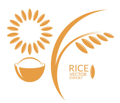 Rice. Icon set