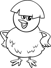 little chick for coloring