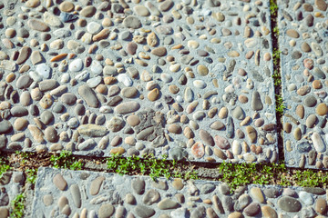 Grass growing between pieces of concrete blocks
