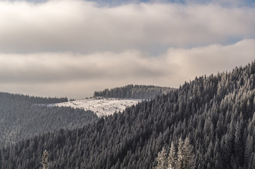 Fototapeta na wymiar Winter Carpathian mountains with hills, snowy forest and clouds in the sky