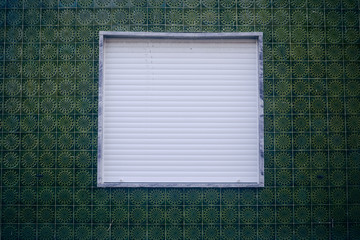 Window with metal roller shutter on the beautiful green wall background