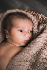 Newborn baby on knitting background