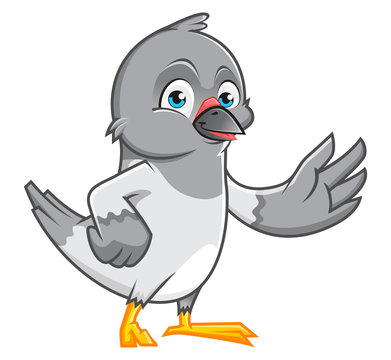 Pigeon Cartoon Character