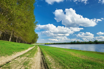 Fototapeta na wymiar summer forest with ground road near river, bright landscape