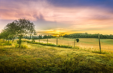 Amazing tuscan sunrise