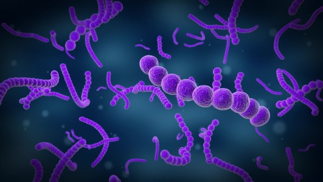 some streptococcus under the microscope (3d render)