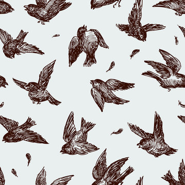 Flock Of Fighting Sparrows