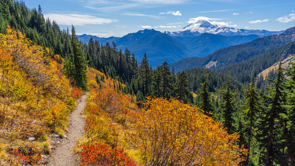 YELLOW ASTER BUTTE TRAIL, AUTUMN