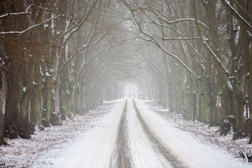 Winter road