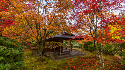 Japanese garden, Seattle