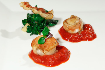 Poached salmon with spinach and tomato puree with herbs on a plate