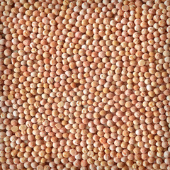 Grains peas