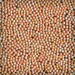 Grains peas as background