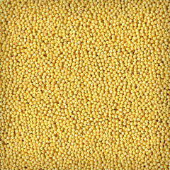 Grains millet 