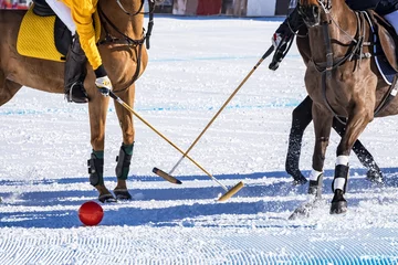 Aluminium Prints Winter sports Snow polo