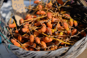 Fresh date fruits in the basket background