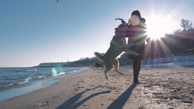 Young girl running and having fun with siberian husky on sea coast,slow motion