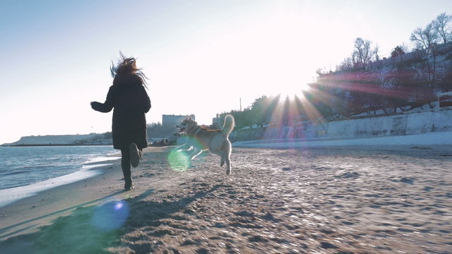 Young girl running with siberian husky on sea coast on sunset, slow motion