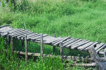 wooden bridge