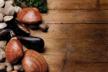 Callista chione Mytilus galloprovincialis ムラサキイガイصدف سیاه مدیترانه Черноморская мидия 地中海貽貝 Fasolara Smooth vongola clam صدف هموار 