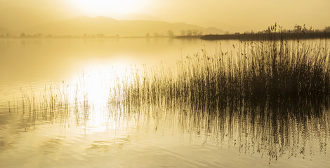 Torre del Lago Puccini