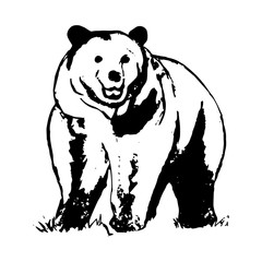 Brown bear 0 (pattern abstraction)