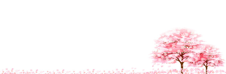 Obraz premium 桜 春 花 背景