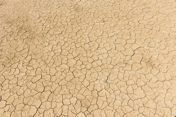 Dry land. Cracked ground background.