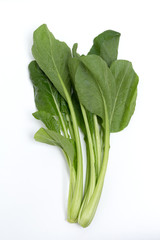 新宿高層ビル群と富士山
