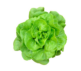 Vegetable salad  isolated on white background