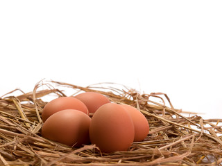 Egg isolated on white background.