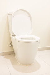 Toilet seat