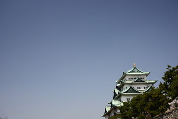 青空と満開の桜と名古屋城天守閣
