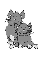 team 2 brothers few dear friends sweet cute cat, kitten, fluffy fur