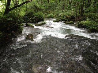 Fototapeta premium 奥入瀬渓流 子ノ口