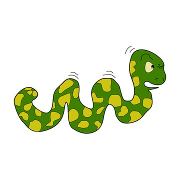 illustration of caterpillar on white background