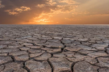 Fototapeten Soil drought cracked landscape sunset © yotrakbutda