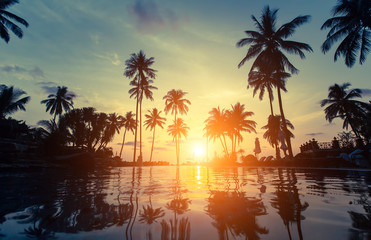 Naklejka na ściany i meble Palm trees silhouette at amazing sunset on the beach in the Thailand tropics.