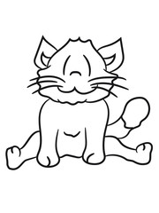 seated sweet cute kitten fluffy fur