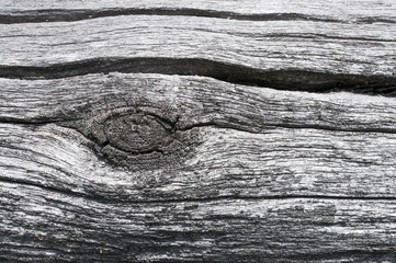 Gray surface with a crack of wooden logs