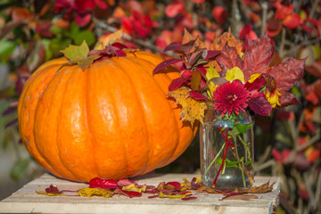 pumpkin and autumn bouquet. The bouquet consists of roses, daisies, autumn leaves of maple and mountain ash. Close-up. Photo taken in a garden in the autumn sunset light.