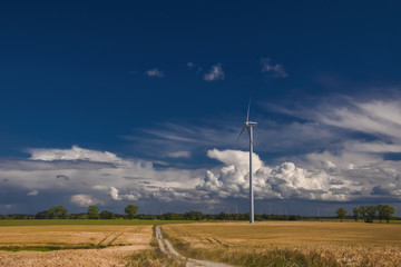 LETNI PEJZAŻ Z CHMURAMI I WIATRAKAMI © Wojciech Wrzesień