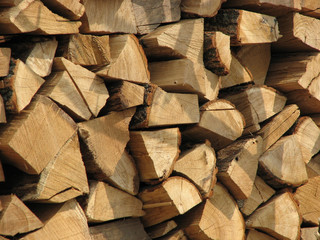 The woodpile, firewood