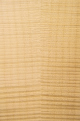 Texture of wood background