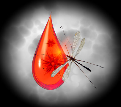 Drop of blood with viruses and mosquito zika